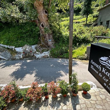 Λευκή Καμέλια Hotel Anilio Pelion Luaran gambar
