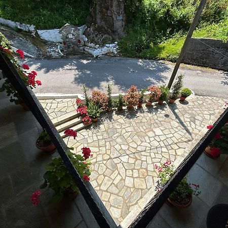 Λευκή Καμέλια Hotel Anilio Pelion Luaran gambar