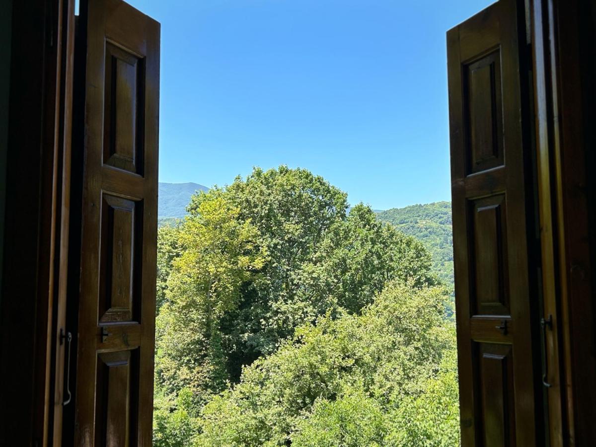 Λευκή Καμέλια Hotel Anilio Pelion Luaran gambar