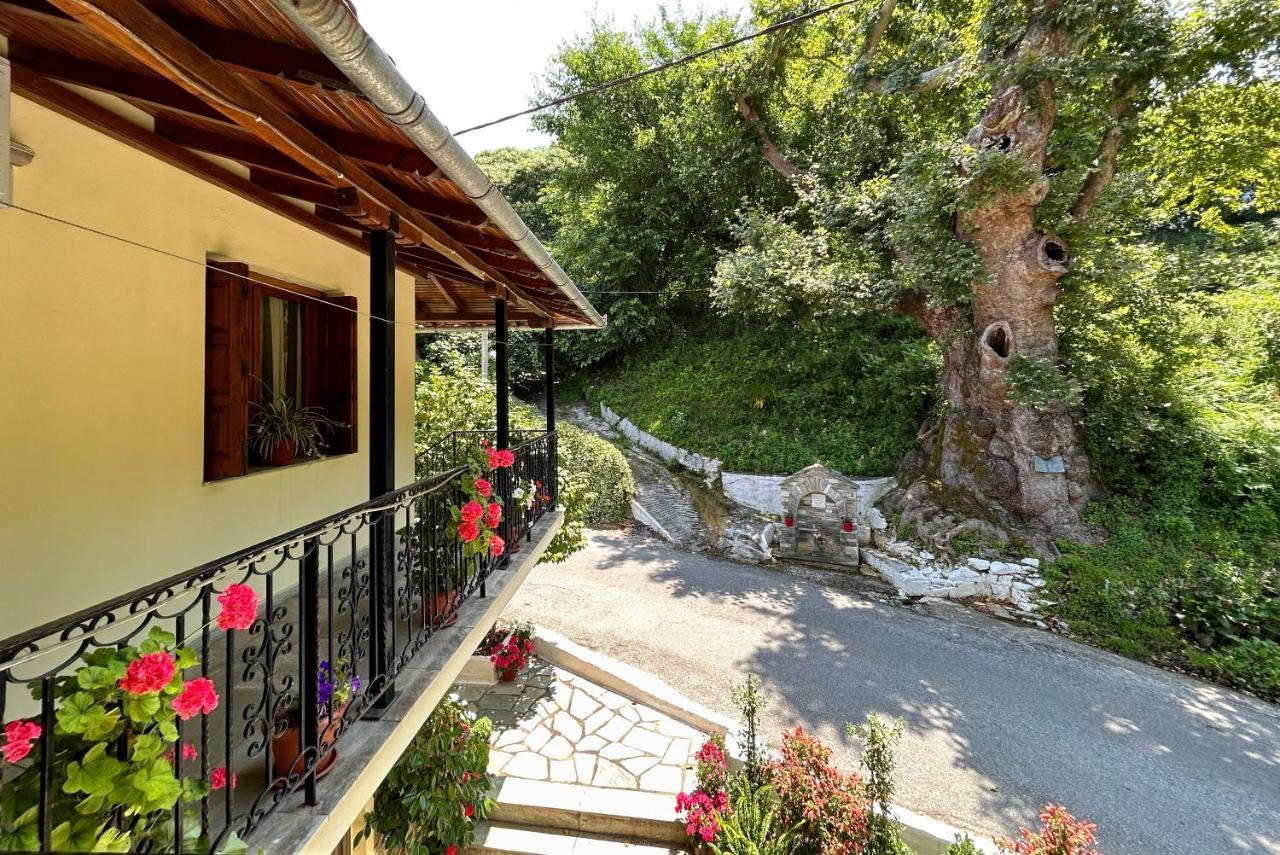 Λευκή Καμέλια Hotel Anilio Pelion Luaran gambar