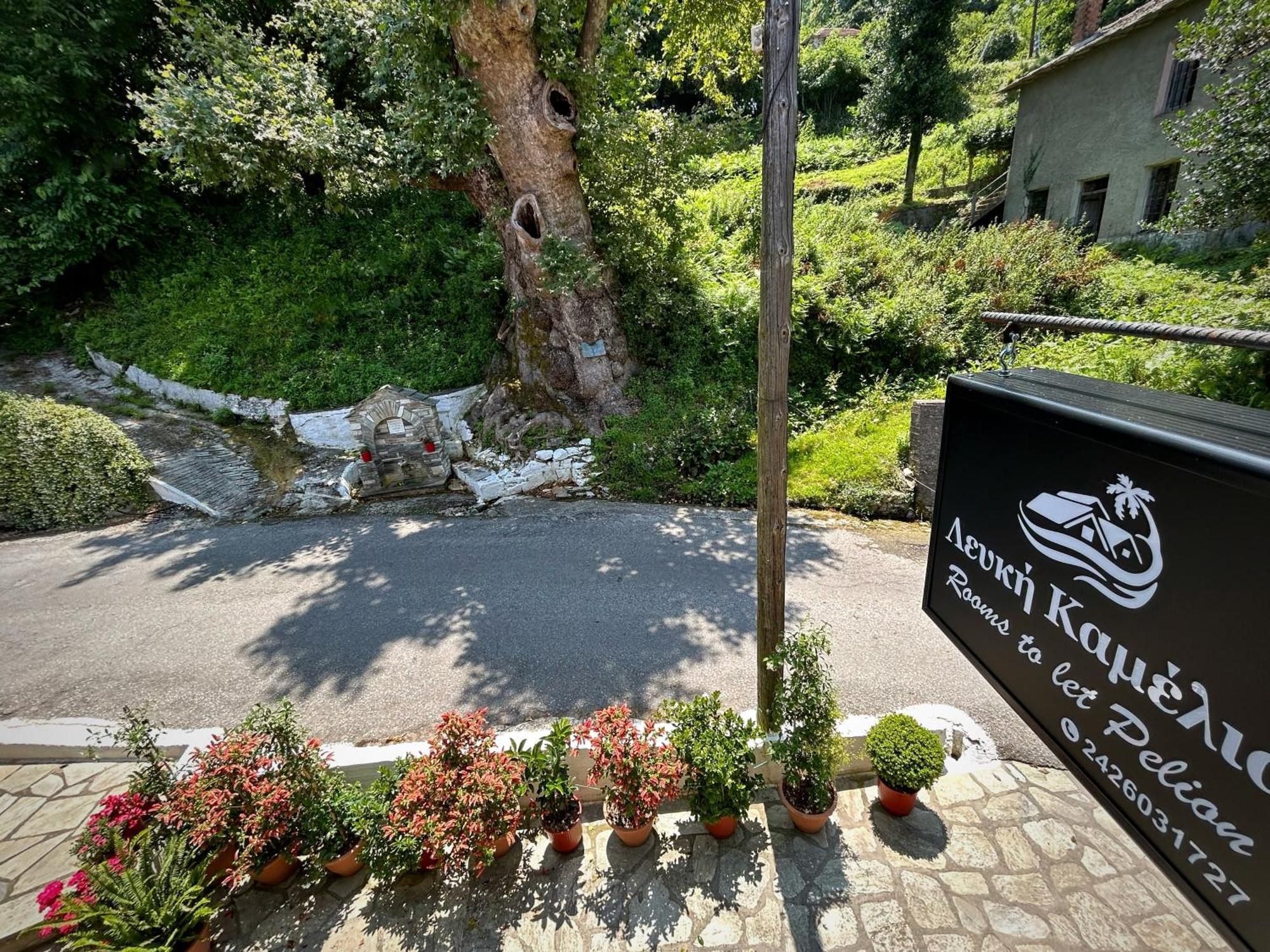 Λευκή Καμέλια Hotel Anilio Pelion Luaran gambar