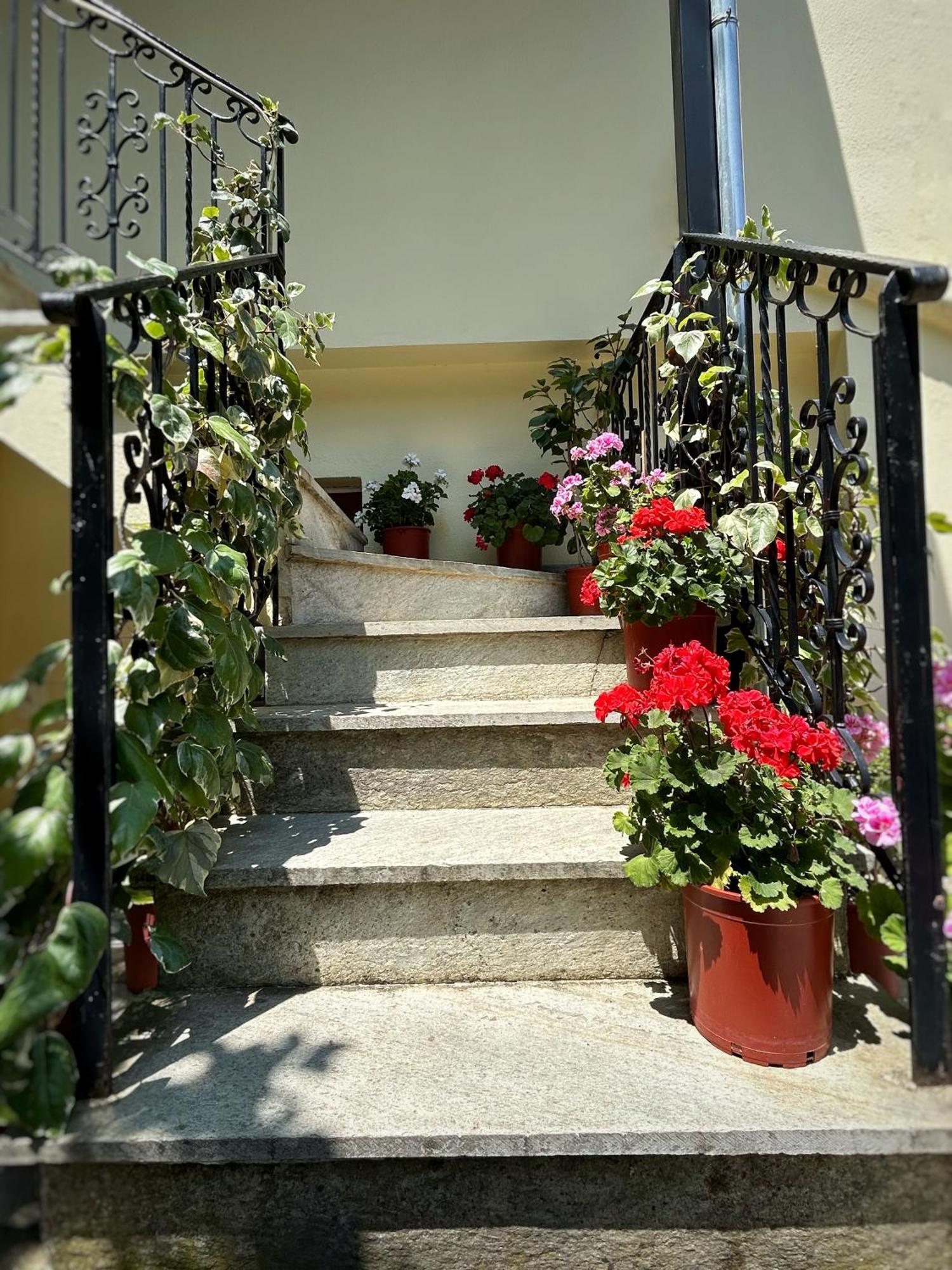 Λευκή Καμέλια Hotel Anilio Pelion Luaran gambar