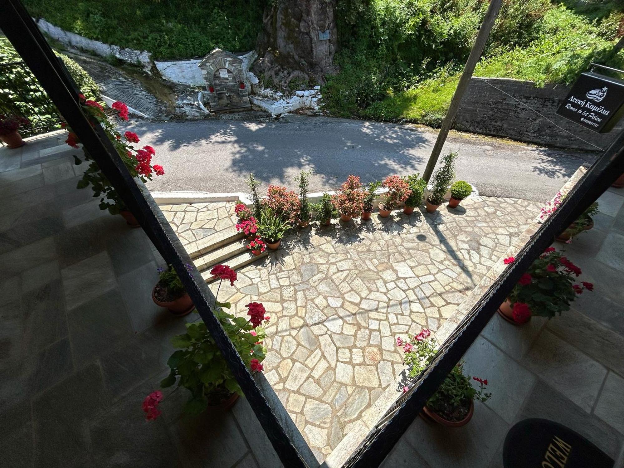 Λευκή Καμέλια Hotel Anilio Pelion Luaran gambar