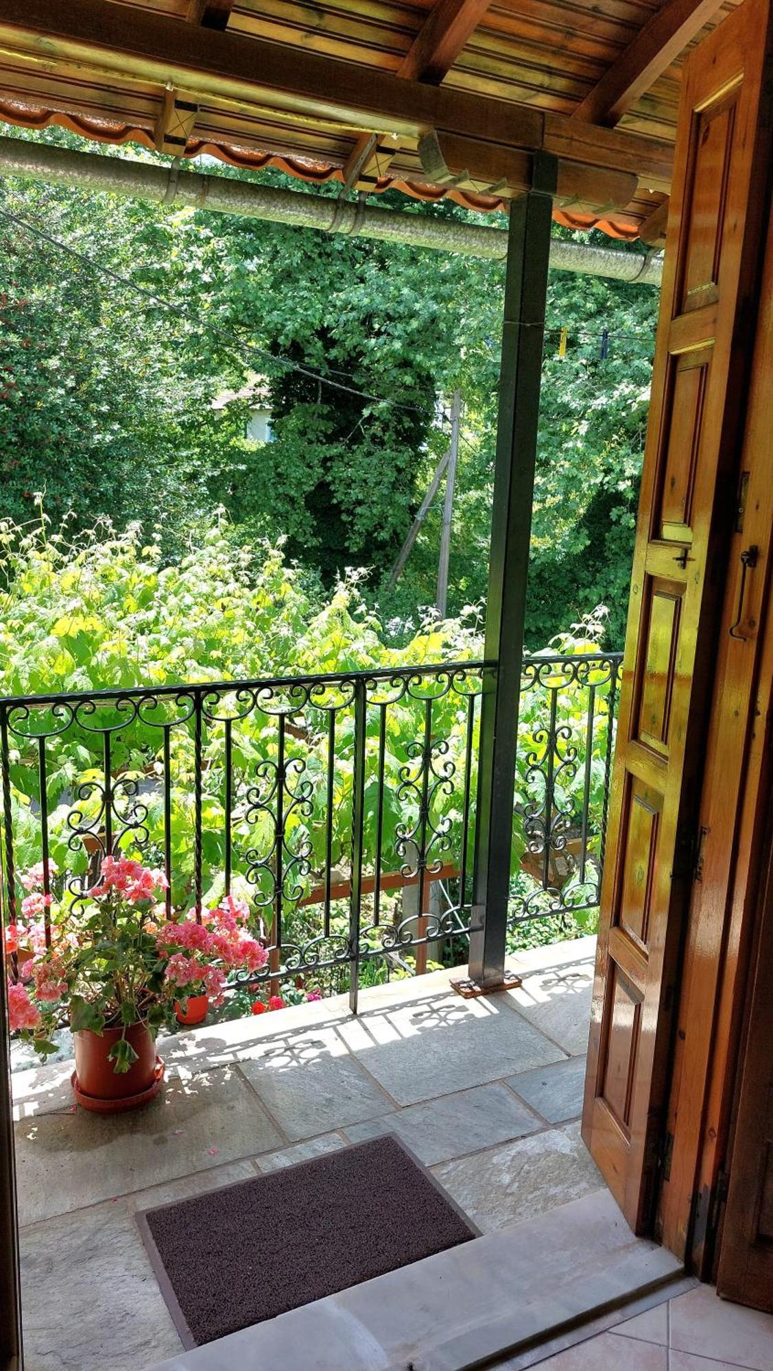 Λευκή Καμέλια Hotel Anilio Pelion Luaran gambar